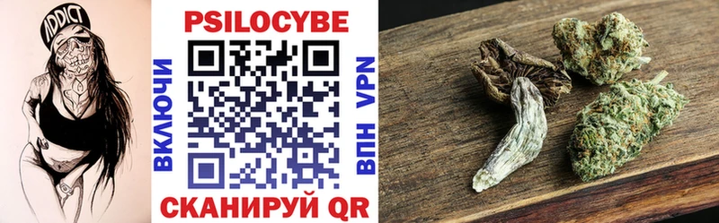 где можно купить наркотик  kraken   Псилоцибиновые грибы Psilocybine cubensis  Стрежевой 